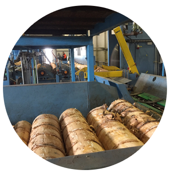 Logs in a Machine
